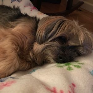 Meet your Posher, Evelyn